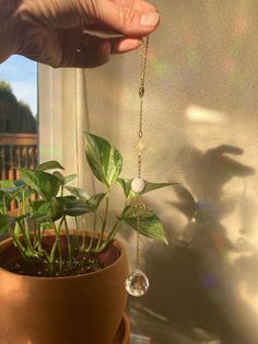 a person is holding a plant in a pot with a long chain attached to it