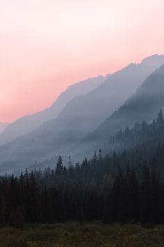 the mountains are covered in fog and trees