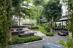 an outdoor garden with trees and plants on the ground, surrounded by graveled steps