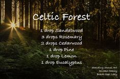 Woodsy Essential Oil Diffuser Blends, Forest Essential Oil Blend, Forest Diffuser Blends, Celtic Forest, Forest Essentials