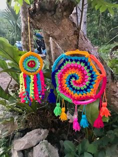 two colorful handmade dream catchers hanging from a tree in the forest with rocks and greenery