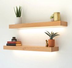 two wooden shelves with plants and books on them