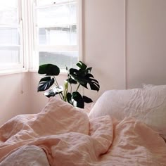 an unmade bed with pink linens and a plant in the window sill