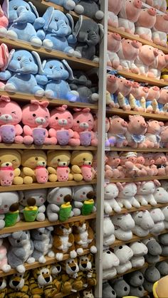 many different colored stuffed animals are on shelves