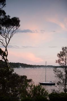 a sailboat floating on top of a body of water next to trees and bushes