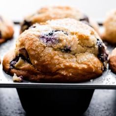 freshly baked blueberry muffins sitting on a baking tray ready to be eaten