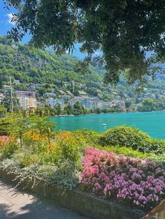 there is a dog that is sitting on the bench looking out at the water and flowers