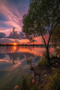 the sun is setting over a lake with trees in front of it and clouds in the sky