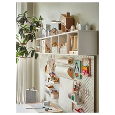 a white shelf filled with assorted items next to a potted plant and window