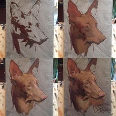 four different pictures of a dog's head in various stages of being painted on canvases