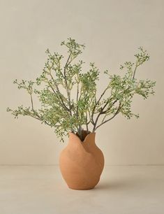 a plant in a vase on a table