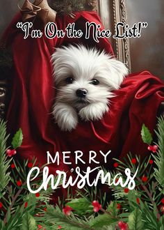 a white dog sitting on top of a red blanket next to a christmas card with the words, i'm on the nice list