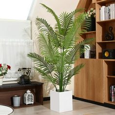 a potted plant sitting on top of a wooden floor next to a book shelf