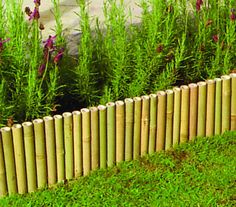 a row of wooden posts sitting in the grass