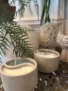 two white candles sitting on top of a table next to a potted palm tree