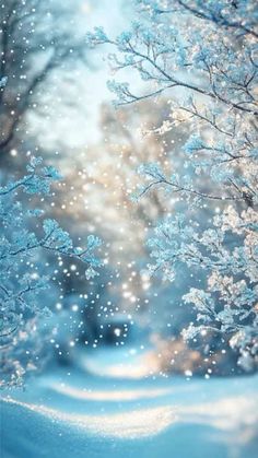 Winter Wallpaper | http://themoodguide.com Winter Screen Savers, Frosty Aesthetic, Winter Picture Ideas, Aesthetic Phone Screen, Winter Mood Aesthetic, Aesthetic Winter Wallpaper, Winter Fae, Winter Wallpaper Iphone, Aesthetic Aura