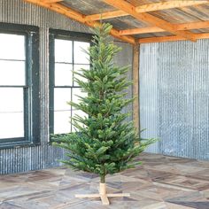 7.5' Great Northern Spruce Christmas Tree With Micro LED Lights Park Hill Collection, Spruce Christmas Tree, Prelit Tree, Park Hill, Spruce Tree, Faux Tree, Christmas Tree Stand, Tree Shop, Farmhouse Charm