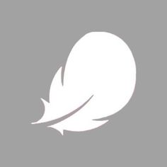 a white feather on a gray background