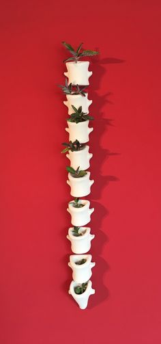 several white vases with plants in them on a red background, one is shaped like a tower