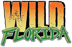 the wild florida logo with orange and green paint on it's side, in front of a white background