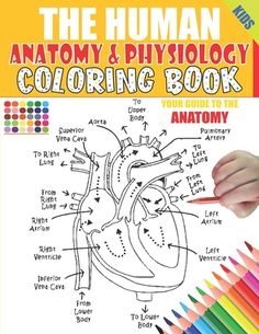 the human anatomy and physoloy coloring book