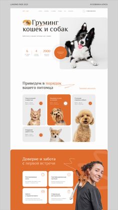 an orange and white website design for a dog grooming business, with the image of a