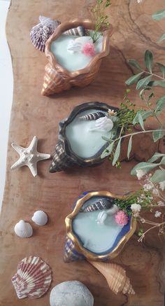 three seashells are sitting on a wooden table with shells and flowers in them