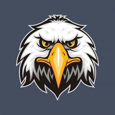 an eagle's head with yellow eyes on a dark background illustration for sports team