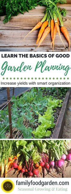 garden planning with carrots, radishes and other vegetables in the background text reads learn the basics of good garden planning