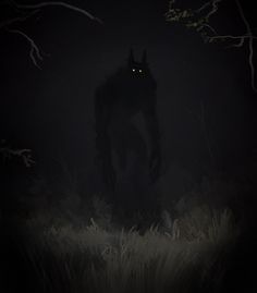 an animal with glowing eyes standing in the dark forest at night, surrounded by tall grass and bare trees