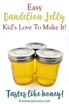 three jars filled with honey sitting on top of a white background and the words, easy dandelion jelly kid's love to make it