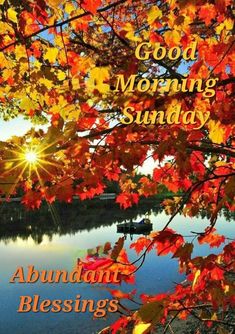 an autumn scene with the words good morning sunday