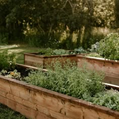 several wooden raised garden beds with plants growing in them