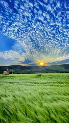 the sun is setting over a green field with some clouds in the sky above it