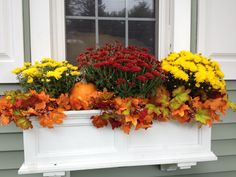 a window box filled with lots of colorful flowers