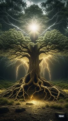 a tree with its roots in the ground and lightning coming from it's trunk