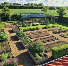 an aerial view of a vegetable garden in the middle of a field with lots of green plants