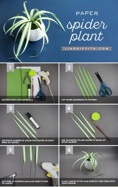 how to make spider plant from paper - step by step instructions on how to use scissors