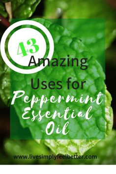 Peppermint Essential Oil | Cold Sore Essential Oil, Peppermint Oil Uses, Essential Oils For Congestion, Oils For Sinus, Peppermint Plants, Essential Oils For Babies, Essential Oil Extraction, Essential Oils For Colds, Mint Essential Oil