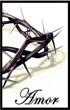 a crown of thorns with the word annor written in black on white background