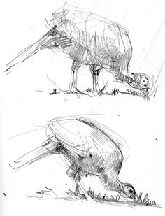 two drawings of an antelope eating grass