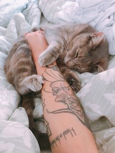 a cat laying on top of a person's leg while they are in bed