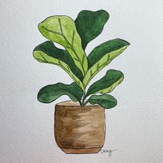 a watercolor painting of a potted plant with green leaves on it's side