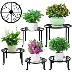 four plant stands with different types of plants on each one and a clock in the background