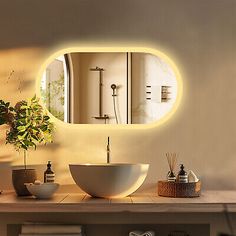 a bathroom with a sink, mirror and plants on the counter in front of it