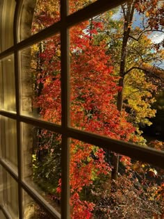 an open window looking out at autumn trees in the woods and fall foliages outside