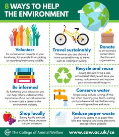 the eight ways to help children with environmental needs in their school's environment, including recycling