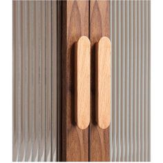 two wooden handles on a metal door