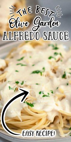 the best ever garden alfredo sauce recipe