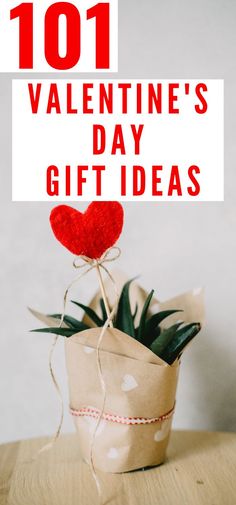 a potted plant sitting on top of a table next to a sign that says 101 valentine's day gift ideas